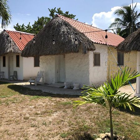ホテルCabana 7 Leguas, Casa Mama エル・コージョ エクステリア 写真