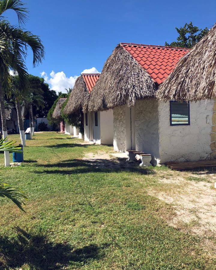 ホテルCabana 7 Leguas, Casa Mama エル・コージョ エクステリア 写真